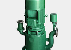 WFB無(wú)密封自控自吸泵(常用型).jpg